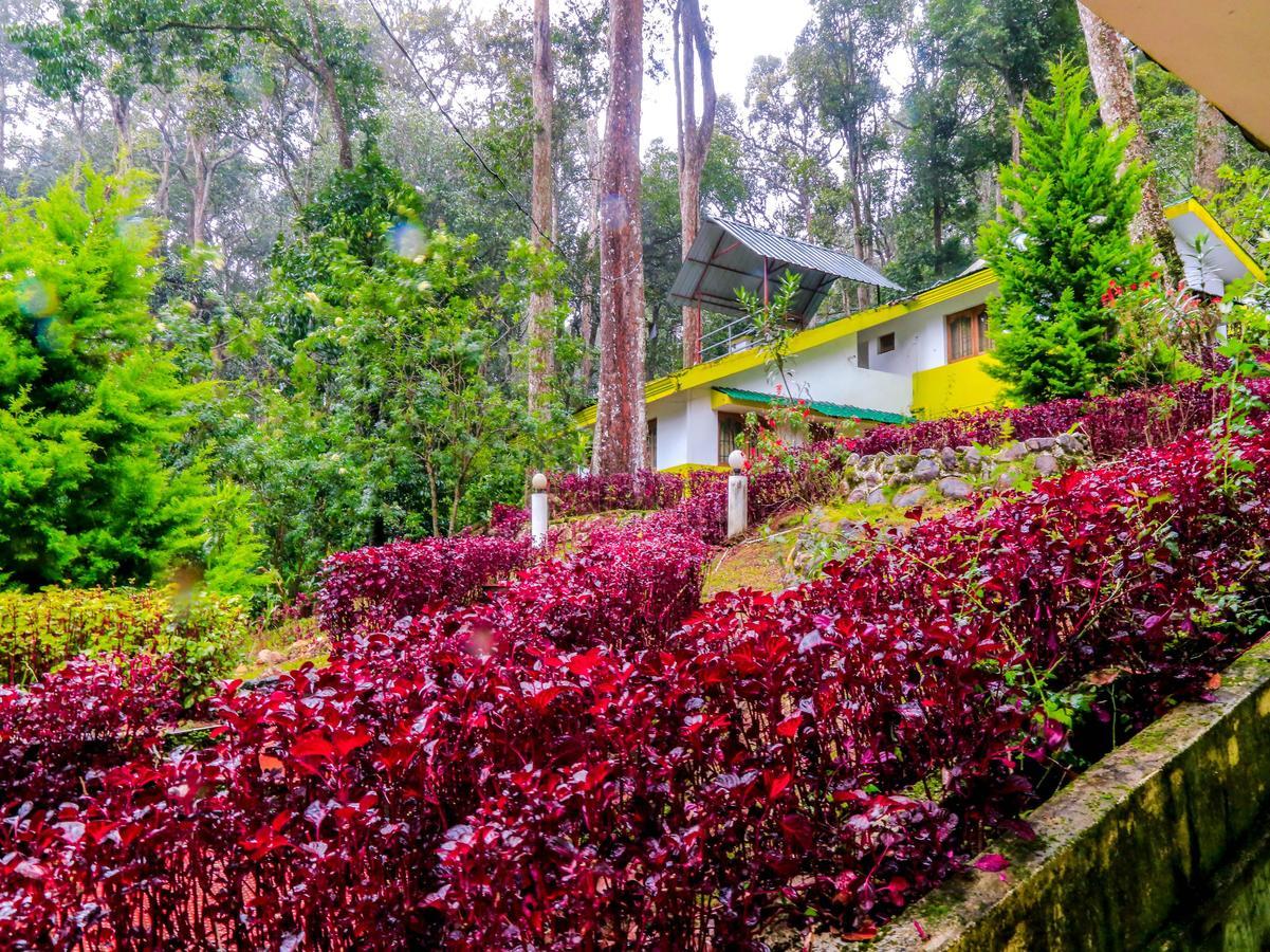 Oyo 4651 Woodpecker Resort Munnar Esterno foto