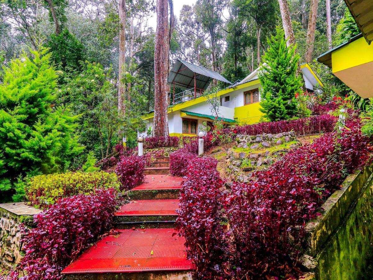 Oyo 4651 Woodpecker Resort Munnar Esterno foto